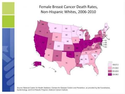 screenshot from the video "Breast Cancer Facts & Figures 2013-2014 Key Findings"
